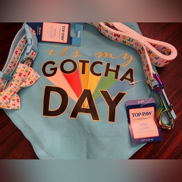 Top Paw Pet 3 Piece Matching Leash Collar Reservable BandanA - Picture 7 of 9